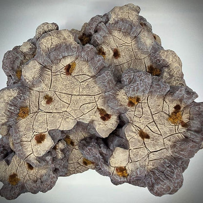 Rocky Plateau A